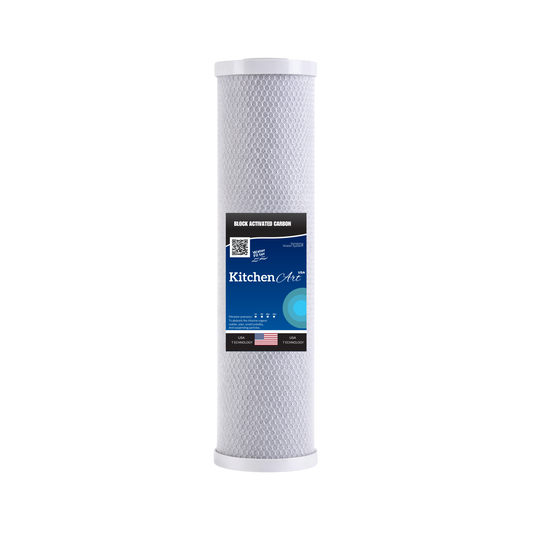 Filtro CTO Big Blue 20"x4.5"